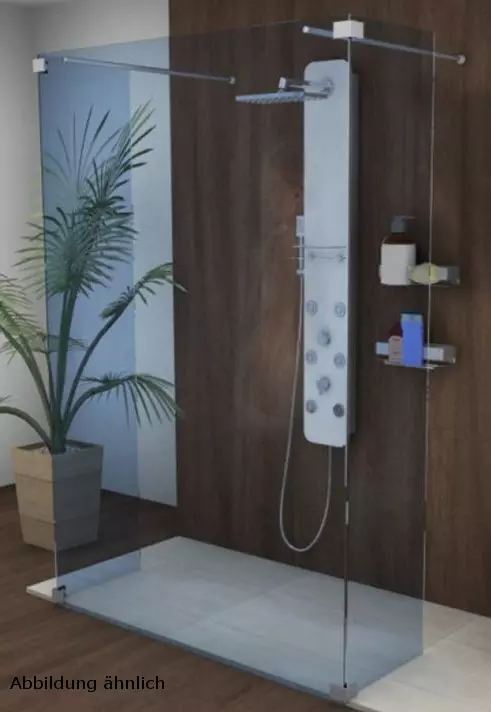 Sprinz Seitenwand Walk-In Freistehende Seitenwand und 2 Festelemente „Inloop“ inkl. 2 Haltestangen für #Türbreite#, B: 1000 mm H: 2100 mm T: 8 mm