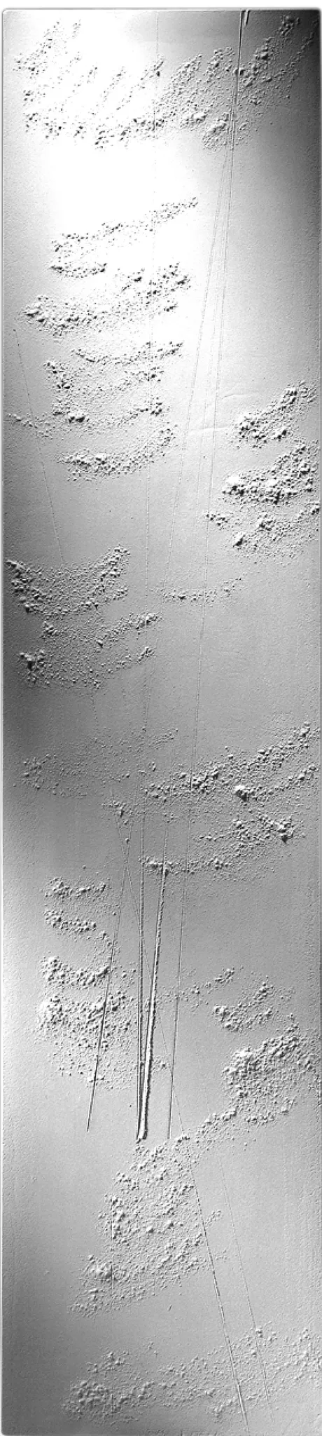 BEMM Design-Elektroheizkörper „Cinier E“ 50 × 220 cm