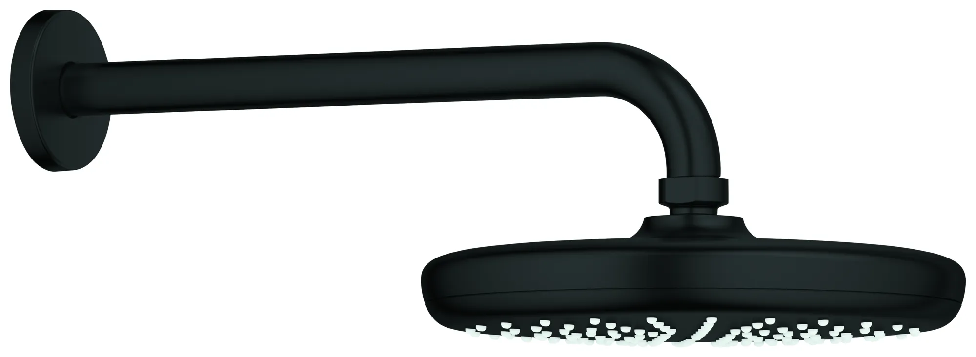 Duschkopf „Tempesta 210“ Duschkopf „Tempesta 210“