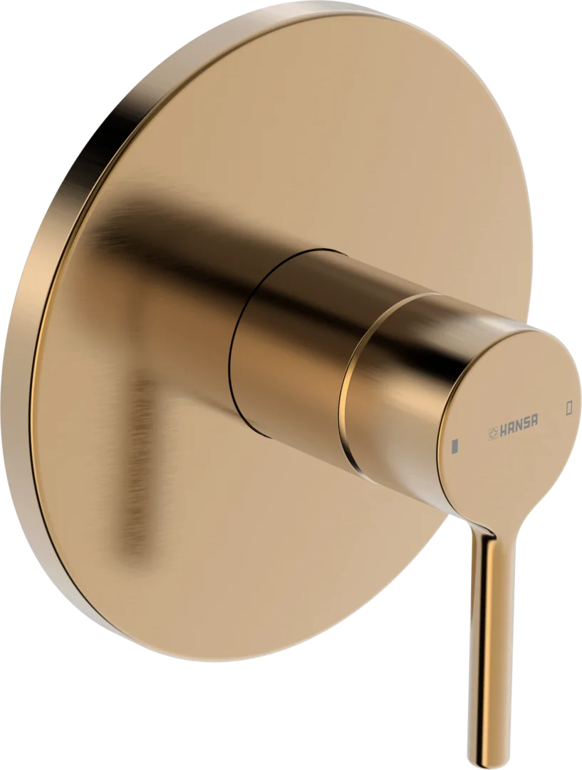 HansaVANTIS Duscharmatur Hansavantis 2022 EHM Fertigset für Brause-Batterie 8261 Rosette rund Bronze gebürstet