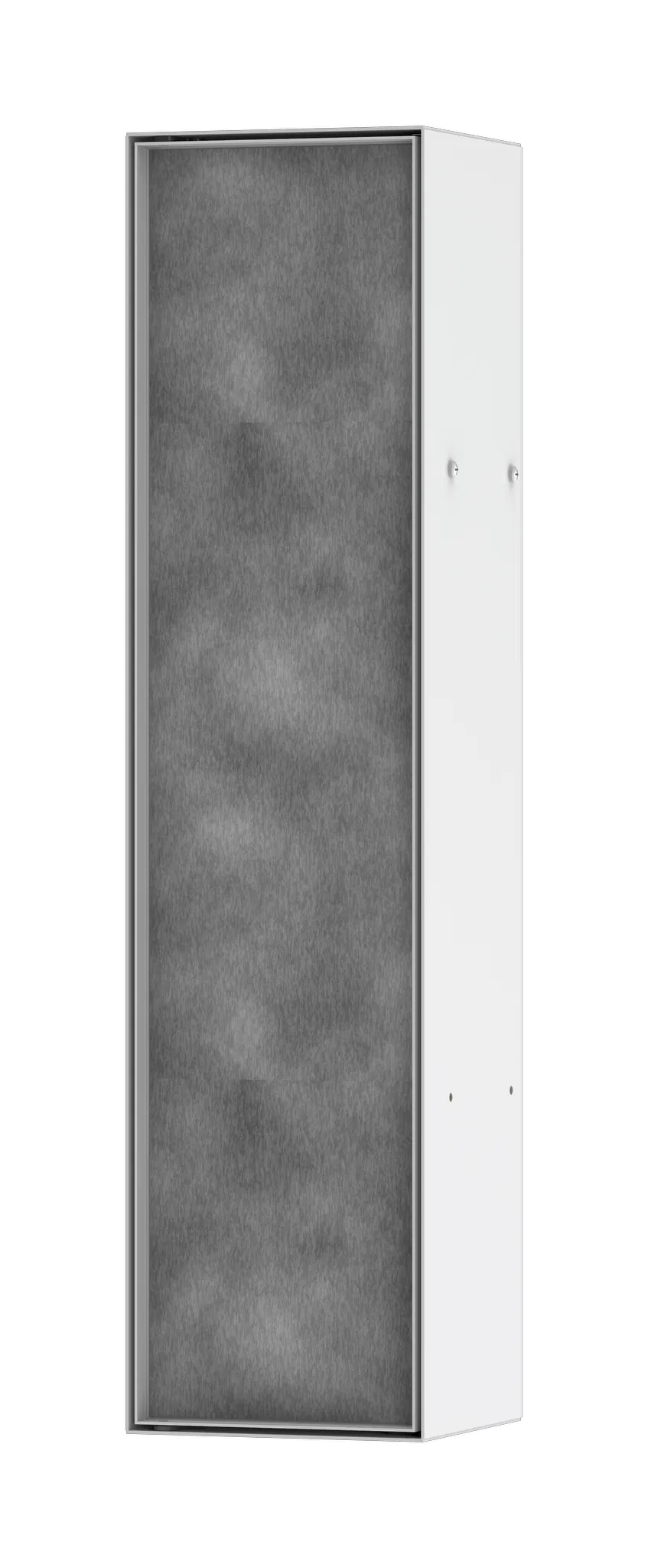 Hansgrohe XtraStoris Rock Einbau Toilettenbürstenhalter mit Ablage und befliesbarer Tür, Mattweiß Hansgrohe XtraStoris Rock Einbau Toilettenbürstenhalter mit Ablage und befliesbarer Tür, Mattweiß