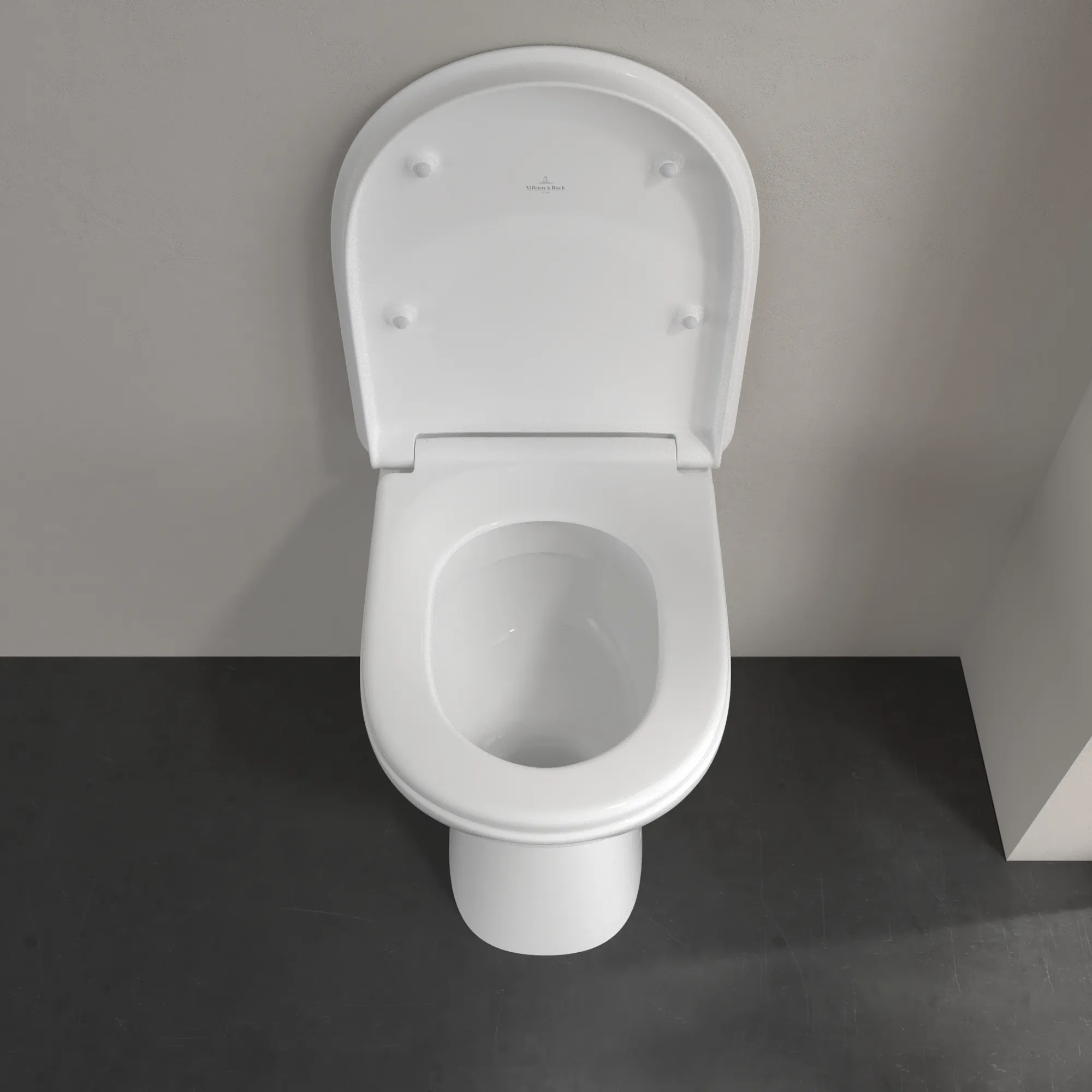 Stand-Flachspül-WC „ViCare“ 49 × 36 × 46 cm in Weiß Alpin, ohne Spülrand, Flachspüler Stand-Flachspül-WC „ViCare“ 49 × 36 × 46 cm in Weiß Alpin, ohne Spülrand, Flachspüler