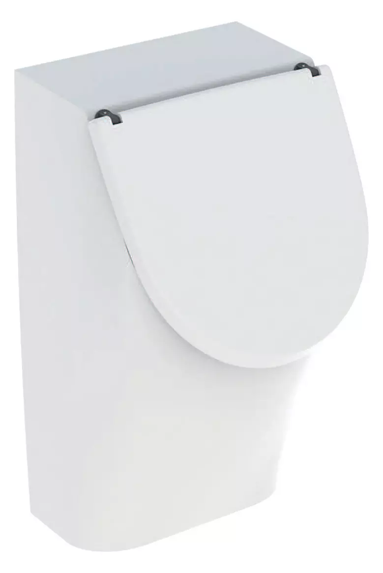 Urinal „Renova Plan“, Zulauf von hinten, Befestigung verdeckt, ohne Zielobjekt 32,5 × 58 × 30 cm in weiß alpin Urinal „Renova Plan“, Zulauf von hinten, Befestigung verdeckt, ohne Zielobjekt 32,5 × 58 × 30 cm in weiß alpin
