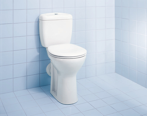 WC-Sitz ohne Absenkautomatik Scharniere edelstahl, weiß