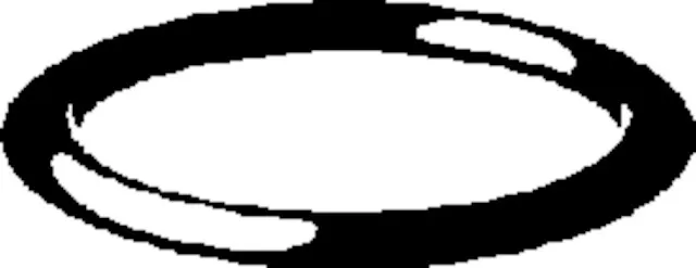 Dichtring FKM „Profipress“ XL ⌀ 108,0 mm Dichtring FKM „Profipress“ XL ⌀ 108,0 mm