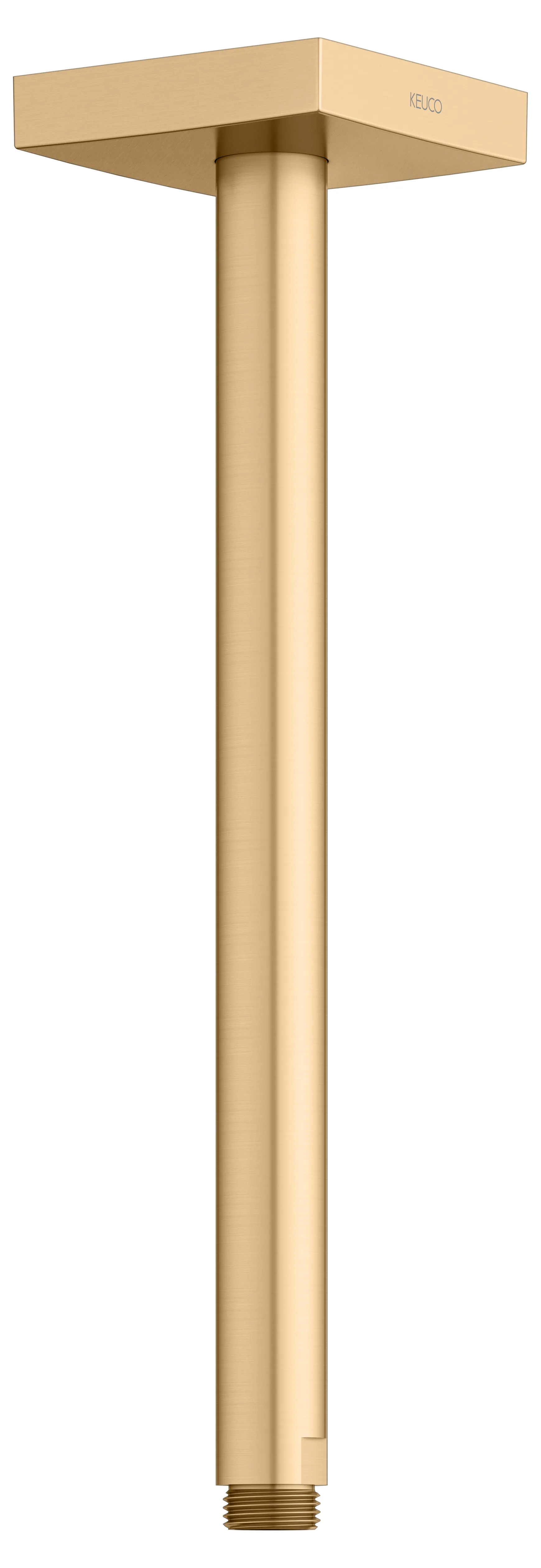 Brausen und Brausezubehör Brausearm Deckenanschluss 300 mm Messing gebürstet Brausen und Brausezubehör Brausearm Deckenanschluss 300 mm Messing gebürstet