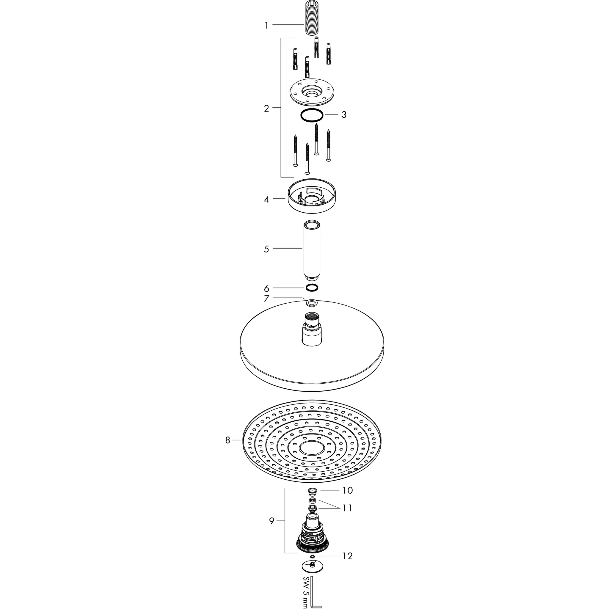 Kopfbrause Raindance Select S 240 2jet EcoSmart 240mm Deckenmontage chrom