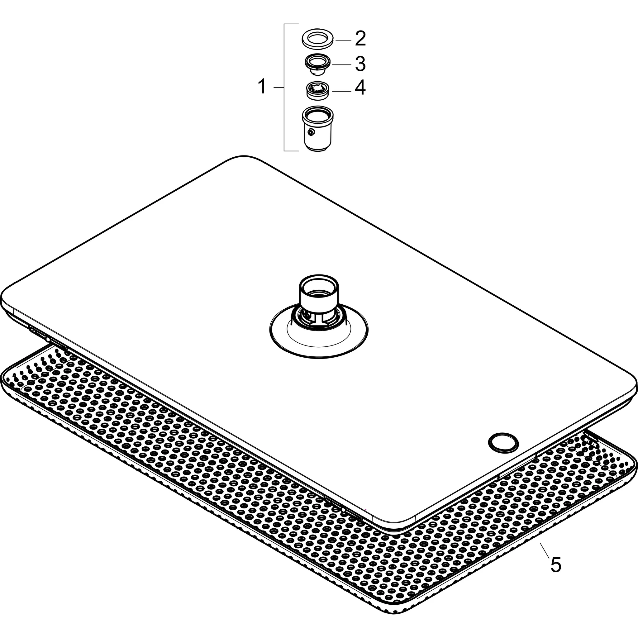 Duschkopf „Raindance Alive Q“ in Chrom Duschkopf „Raindance Alive Q“ in Chrom