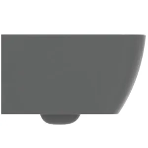 WC „i.lifeB“ 35,5 × 33,5 × 54 cm in Grau WC „i.lifeB“ 35,5 × 33,5 × 54 cm in Grau