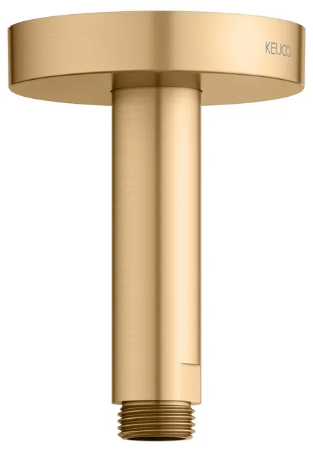 Brausen und Brausezubehör Brausearm Deckenanschluss 100 mm Messing gebürstet rund Brausen und Brausezubehör Brausearm Deckenanschluss 100 mm Messing gebürstet rund