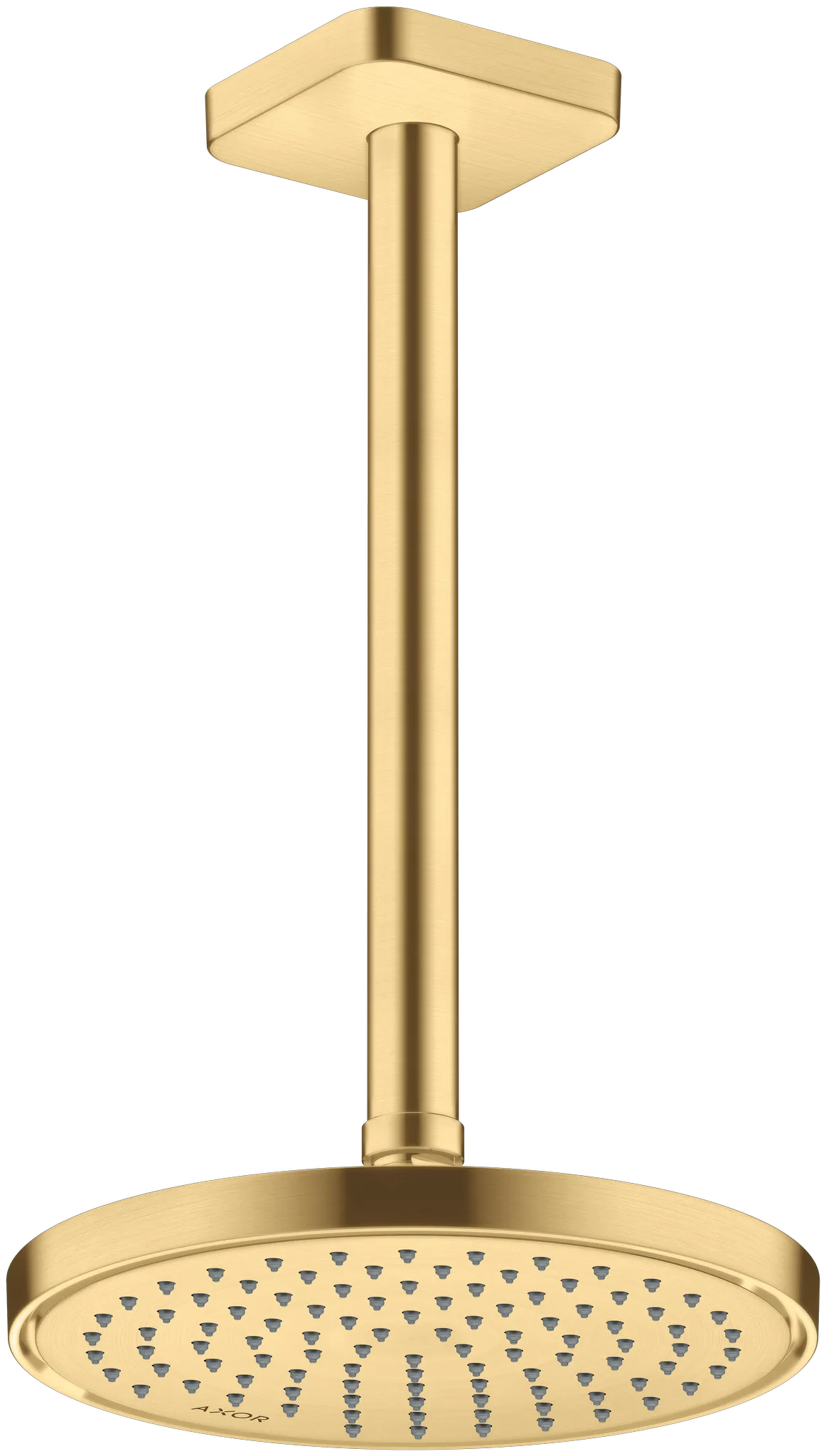 Hansgrohe AXOR ShowerSolutions Kopfbrause 220 1jet EcoSmart+ Brushed Gold Optic Hansgrohe AXOR ShowerSolutions Kopfbrause 220 1jet EcoSmart+ Brushed Gold Optic