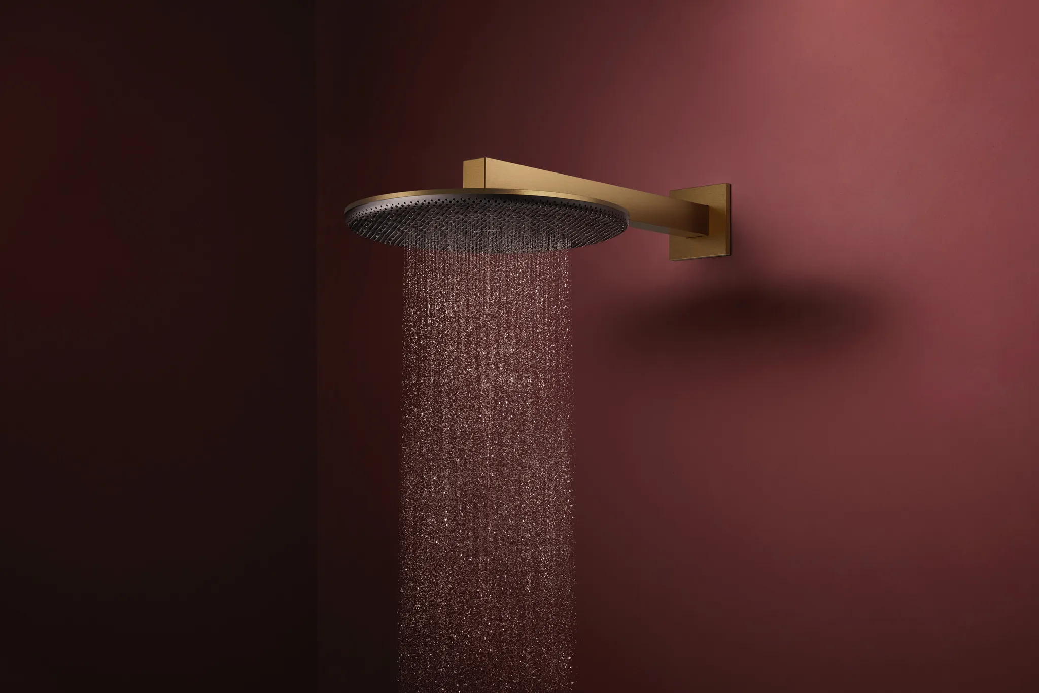 Duschkopf „Raindance Alive S“ in Brushed Bronze