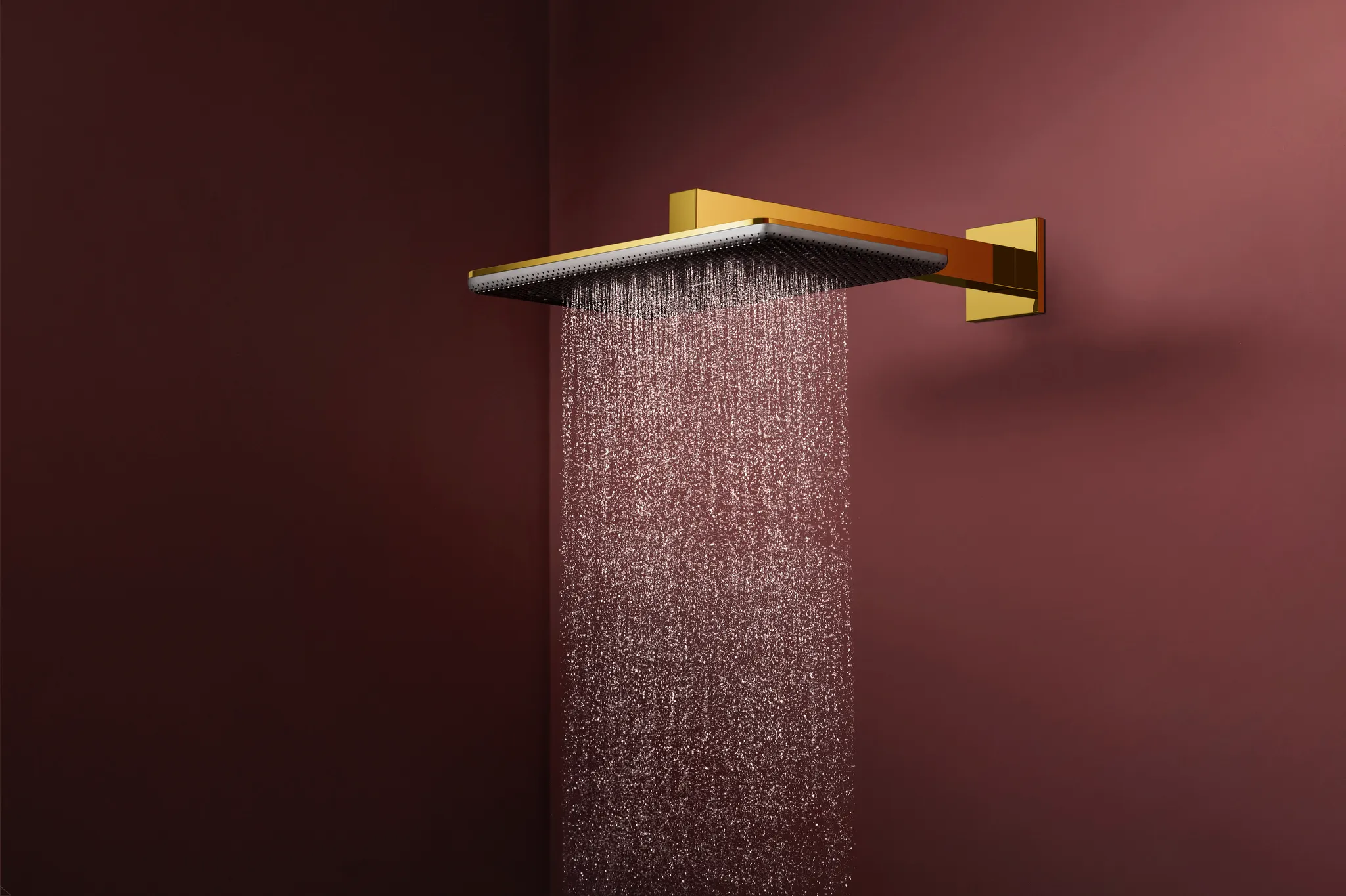 Duschkopf „Raindance Alive Q“ in Polished Gold Optic