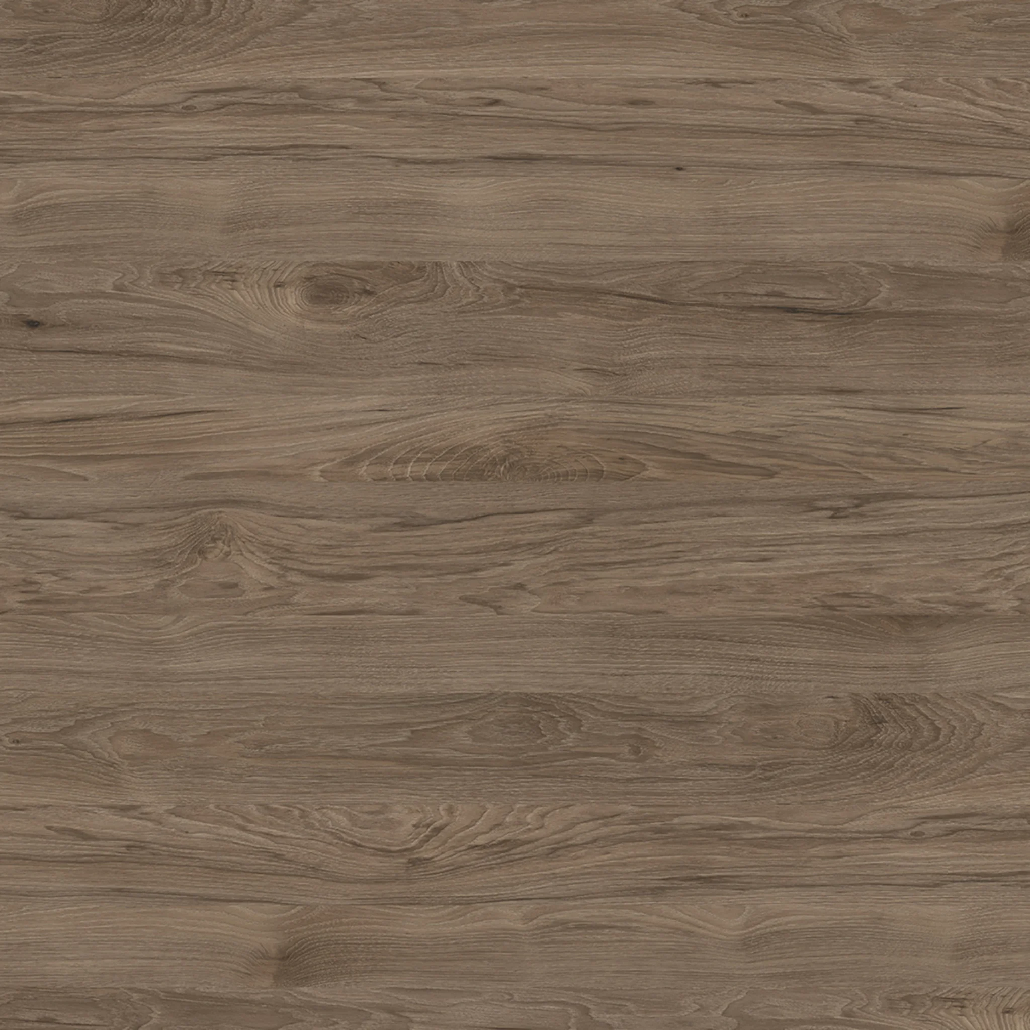 Möbelpaket Eurovit+ mit Waschtisch 71cm Weiß und Unterschrank 70cm 2 Auszüge Hochglanz grau lackiert Möbelpaket Eurovit+ mit Waschtisch 71cm Weiß und Unterschrank 70cm 2 Auszüge Hochglanz grau lackiert