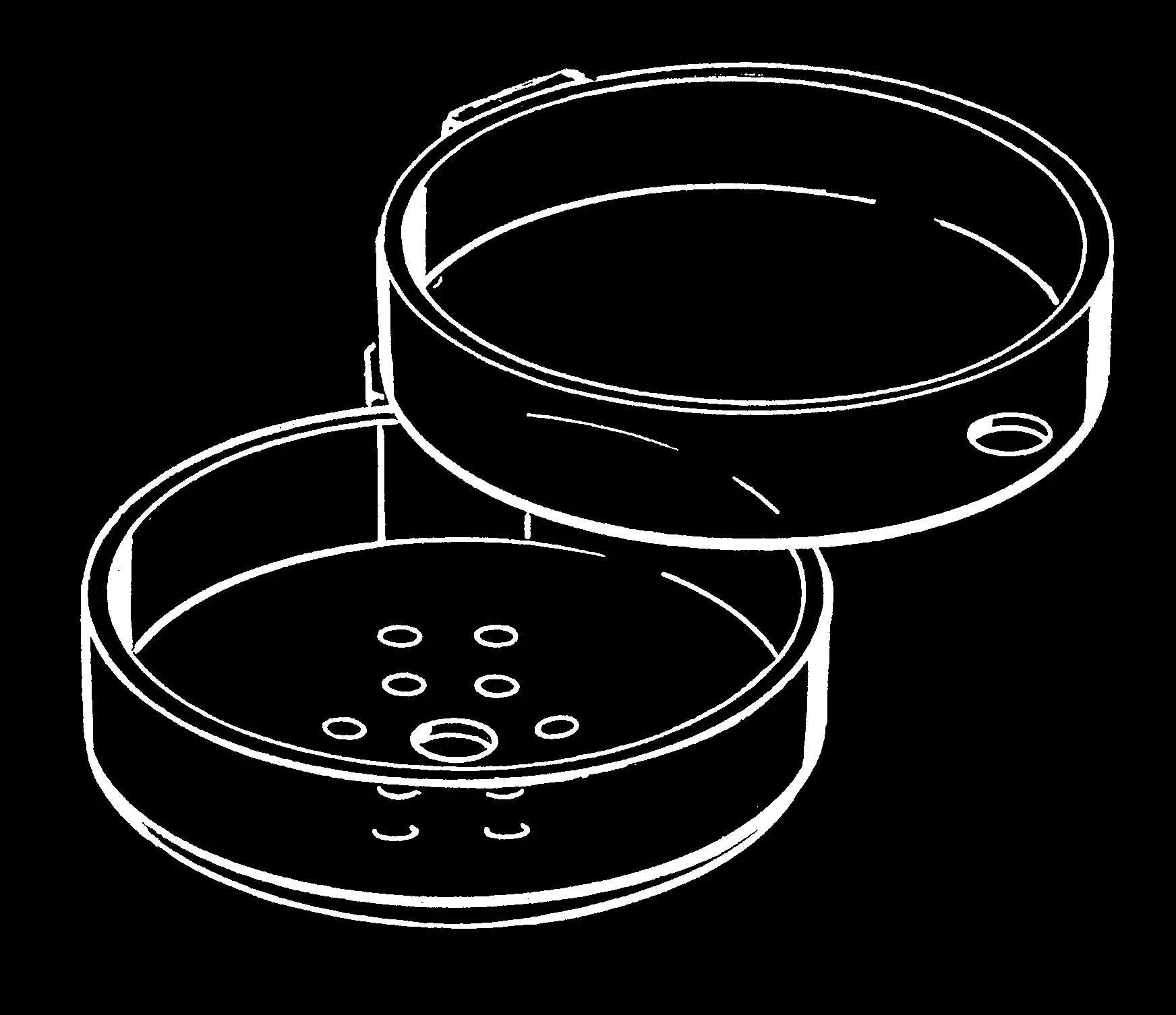 Hansgrohe Casetta'D Seifenschale für Brausestange Ø 25 mm, Glasklar