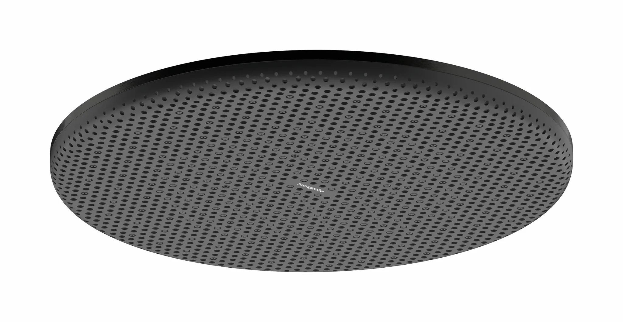 Duschkopf „Raindance Alive S“ in Brushed Black Chrome Duschkopf „Raindance Alive S“ in Brushed Black Chrome