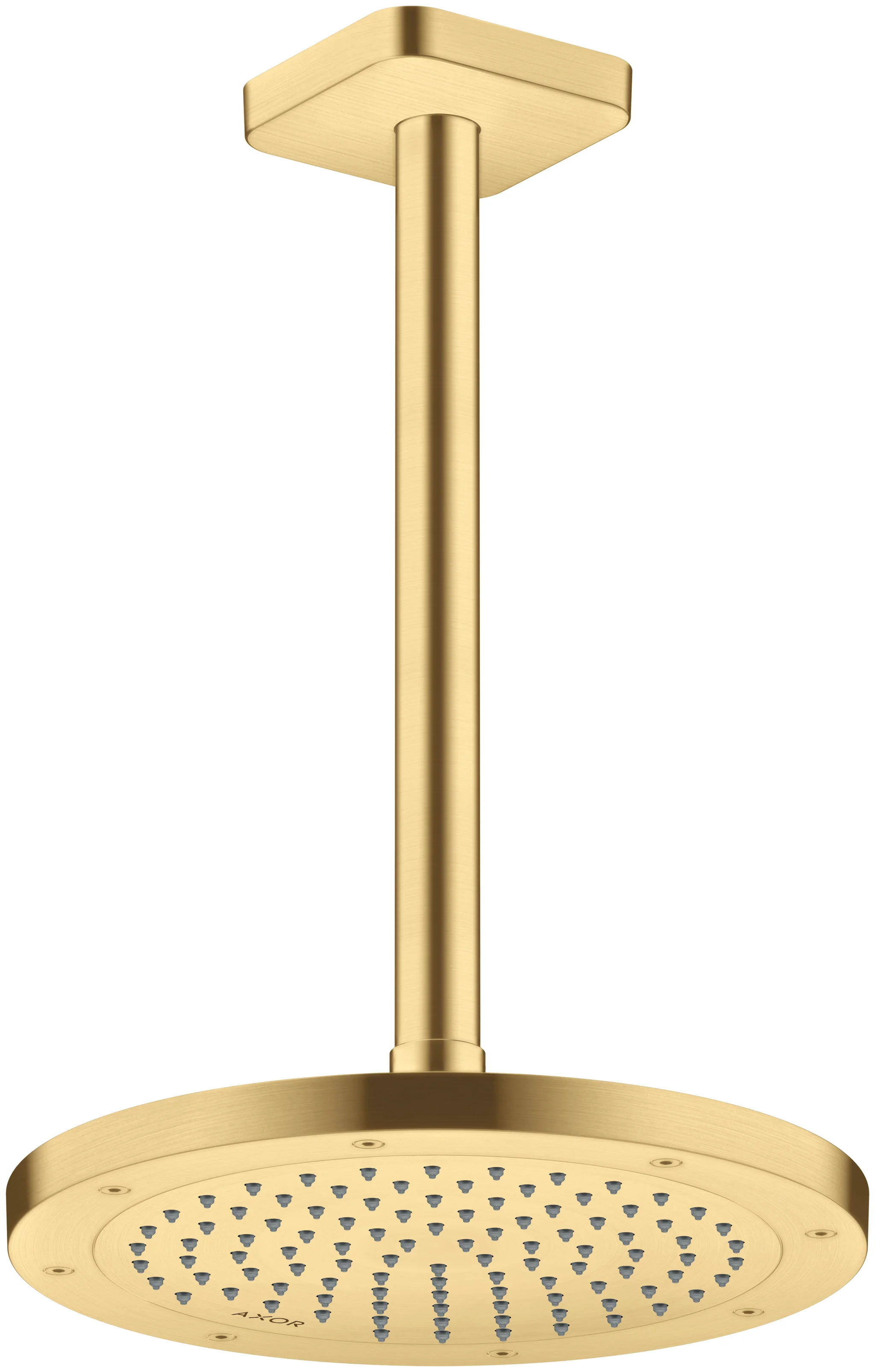Hansgrohe AXOR ShowerSolutions Kopfbrause 245 1jet EcoSmart Brushed Gold Optic, 245 mm Durchmesser, verstellbarer Winkel, abnehmbar zur Reinigung, für Decken- oder Wandmontage, G 1/2 Anschlussgewinde