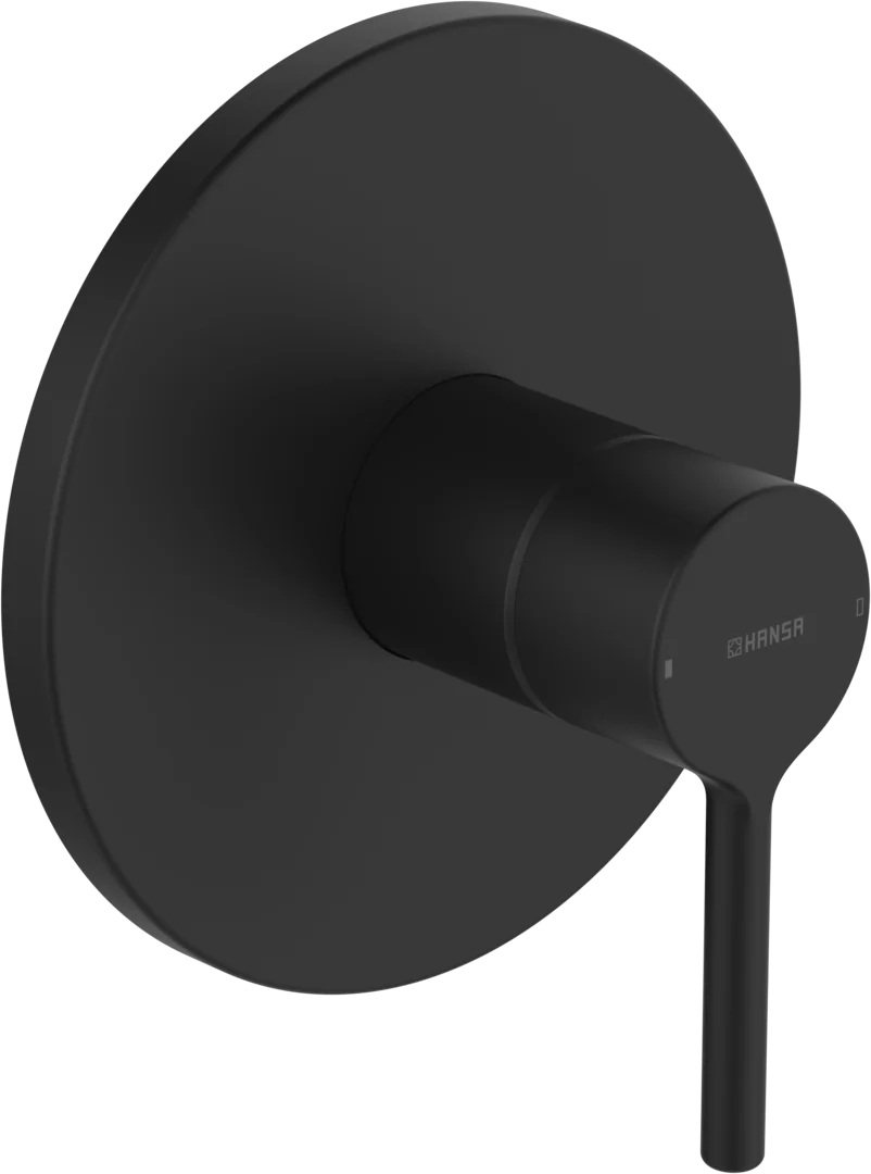 HansaVANTIS Duscharmatur Hansavantis 2022 Fertigset für Brause-Batterie 8261 Matt-Schwarz