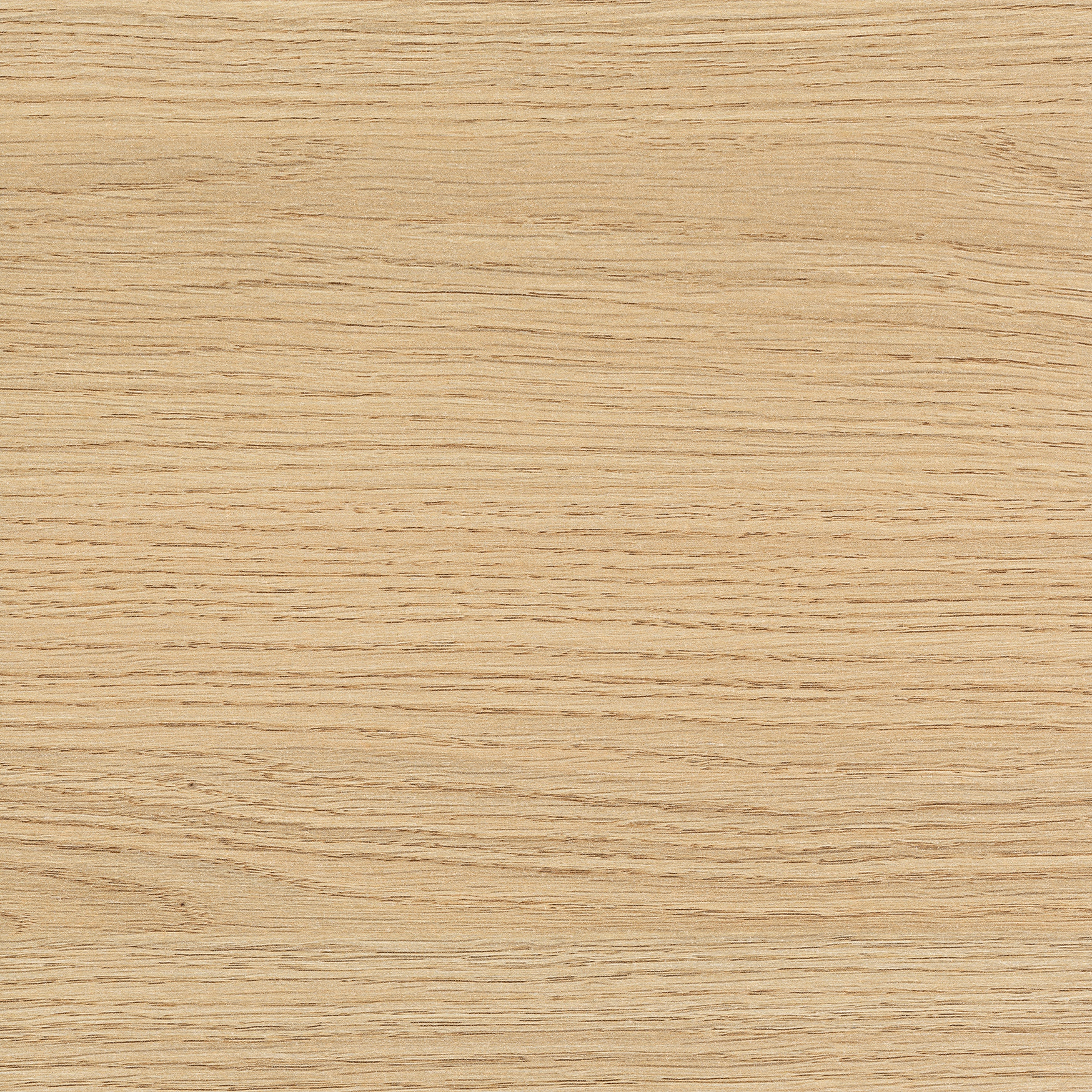Villeroy & Boch Waschtischunterschrank „Collaro“ 1600 × 548 × 500 mm Nordic Oak, ohne Beleuchtung, für Becken rechts Villeroy & Boch Waschtischunterschrank „Collaro“ 1600 × 548 × 500 mm Nordic Oak, ohne Beleuchtung, für Becken rechts