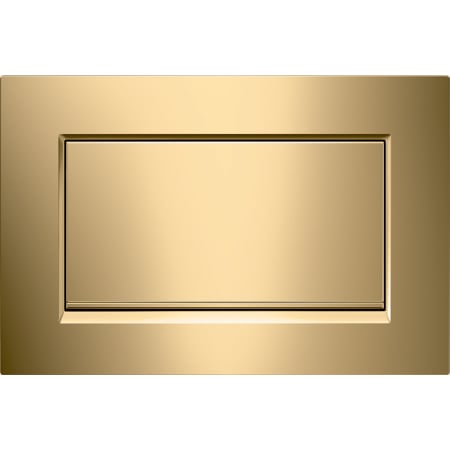 Sigma30 Betätigungsplatte für Spül-Stopp-Spülung, verschraubbar: vergoldet Sigma30 Betätigungsplatte für Spül-Stopp-Spülung, verschraubbar: vergoldet