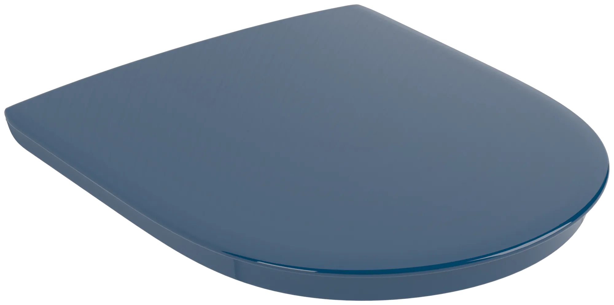 WC-Sitz „ViCare“ inkl. Deckel in Blue WC-Sitz „ViCare“ inkl. Deckel in Blue