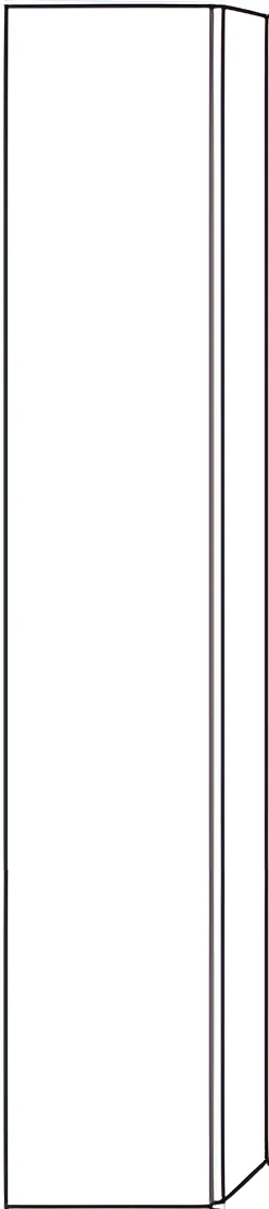 Sanipa Hochschrank „3way“ 300 × 1700 × 197 mm Anschlag links, in Anthrazit (matt), Anschlag links Sanipa Hochschrank „3way“ 300 × 1700 × 197 mm Anschlag links, in Anthrazit (matt), Anschlag links