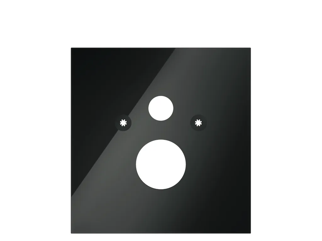 TECElux WC-Glasplatte für Standard-WC Glas schwarz