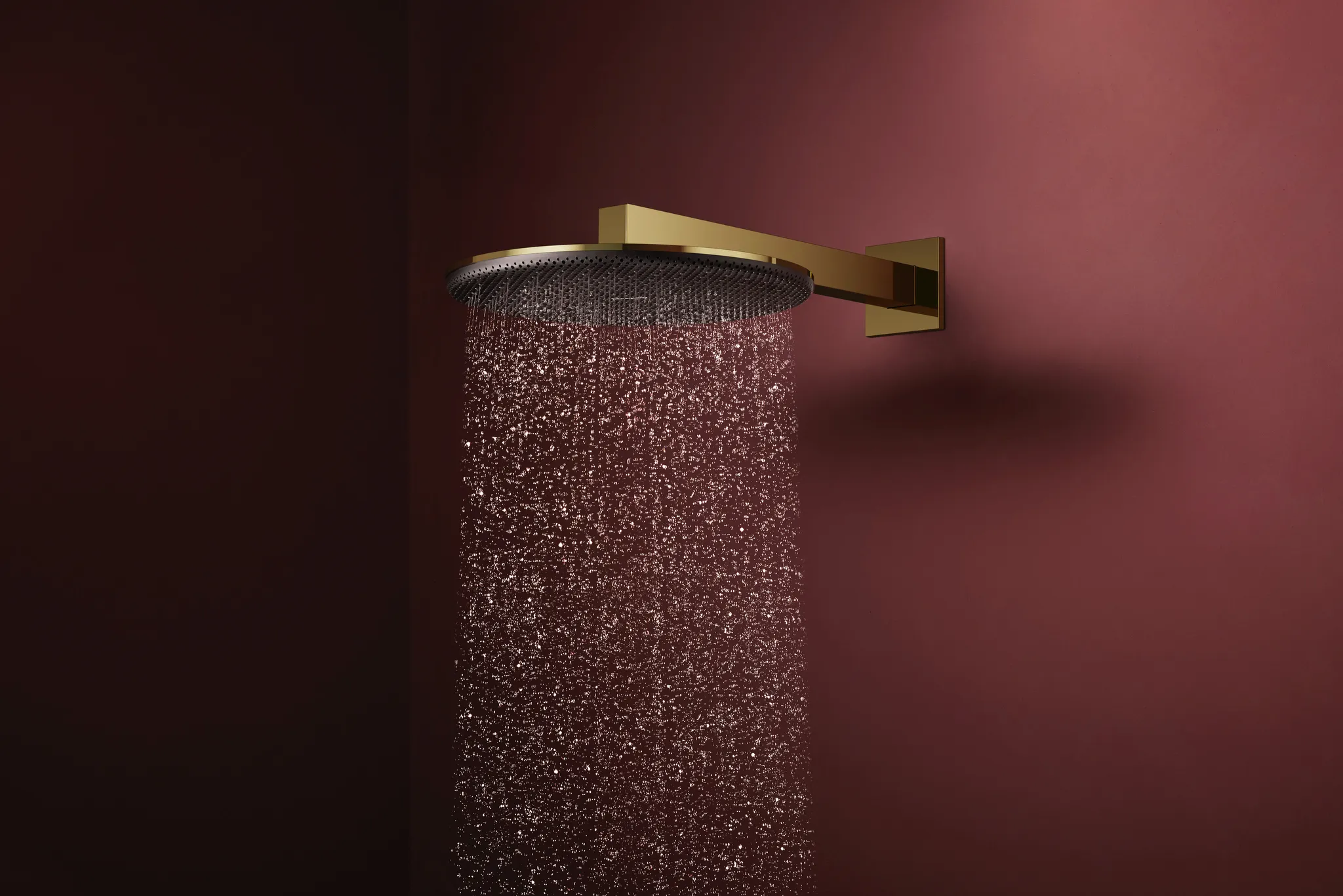 Duschkopf „Raindance Alive S“ in Polished Gold Optic Duschkopf „Raindance Alive S“ in Polished Gold Optic