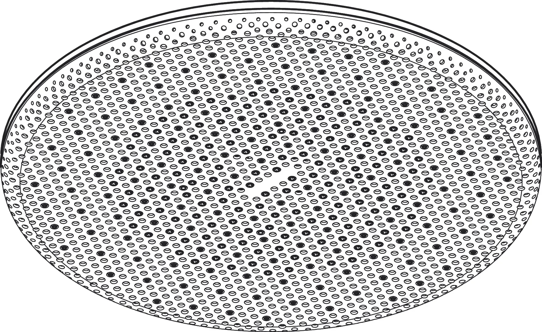 Duschkopf „Raindance Alive S“ in Brushed Black Chrome Duschkopf „Raindance Alive S“ in Brushed Black Chrome