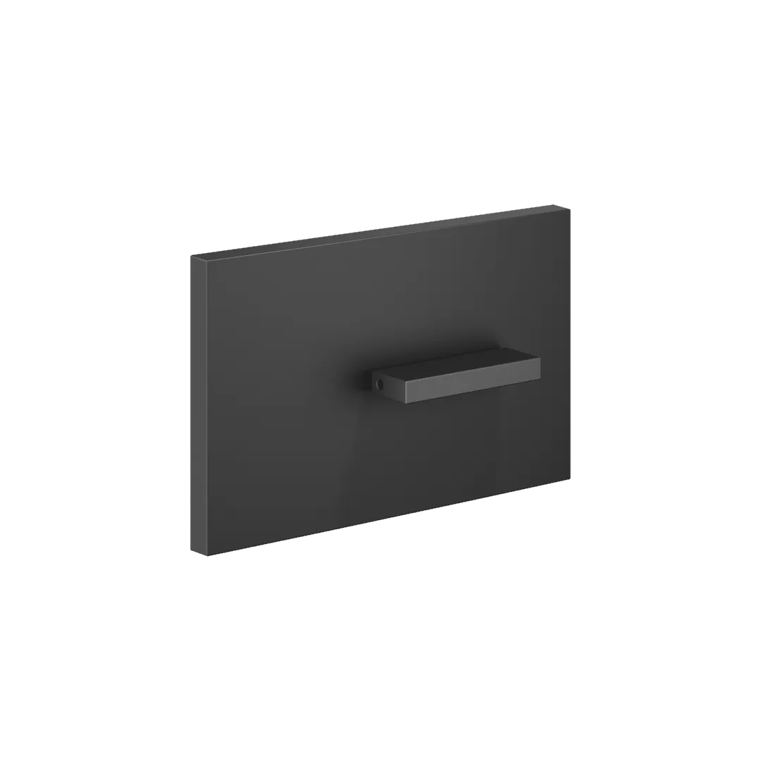 Dornbracht Abdeckplatte für WC-UP-Spülkasten, SERIENNEUTRAL, Schwarz matt, 150 x 240 x 15 mm