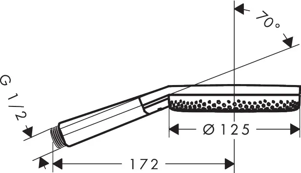 Handbrause „Raindance Alive Select“ 0 l/min in Brushed Black Chrome Handbrause „Raindance Alive Select“ 0 l/min in Brushed Black Chrome