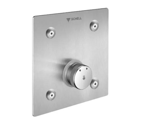 Unterputz-Dusche LINUS Basic D-SC-M, Mischwasser, Frontplatte, Frontplatte Edelstahl gebürstet Unterputz-Dusche LINUS Basic D-SC-M, Mischwasser, Frontplatte, Frontplatte Edelstahl gebürstet