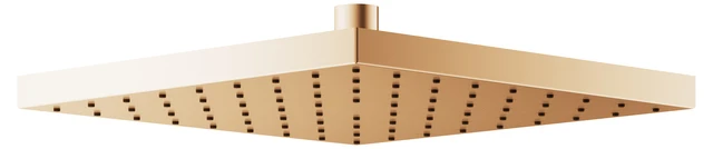Edition 300 53086030100 Kopfbrause eckig 250 x 250 mm Bronze gebürstet