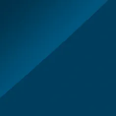 WC-Sitz „ViCare“ inkl. Deckel in Blue WC-Sitz „ViCare“ inkl. Deckel in Blue