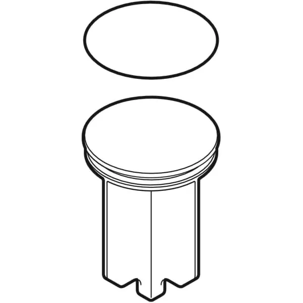 Ventilstopfen mit O-Ring