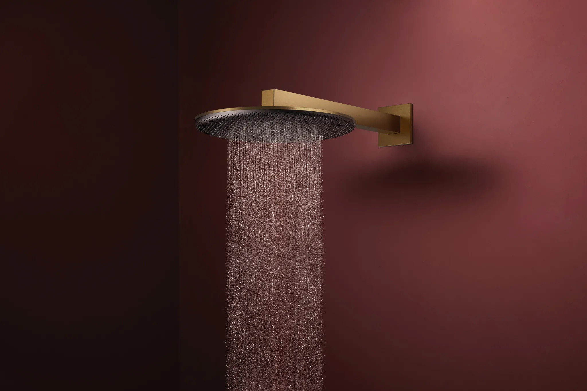 Hansgrohe Raindance Alive S Kopfbrause 300 mm, 2 Strahlarten, Brausearm 390 mm, Brushed Bronze