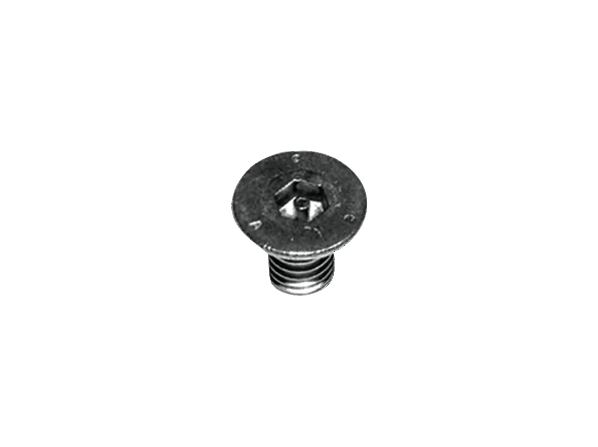 Sicherheitsschrauben, M 5 x 8