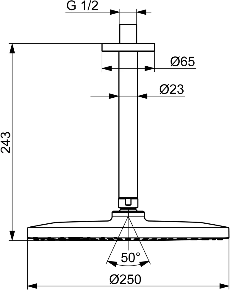 HansaVIVA Kopfbrause, d 250 mm HansaVIVA 4427 Chrom