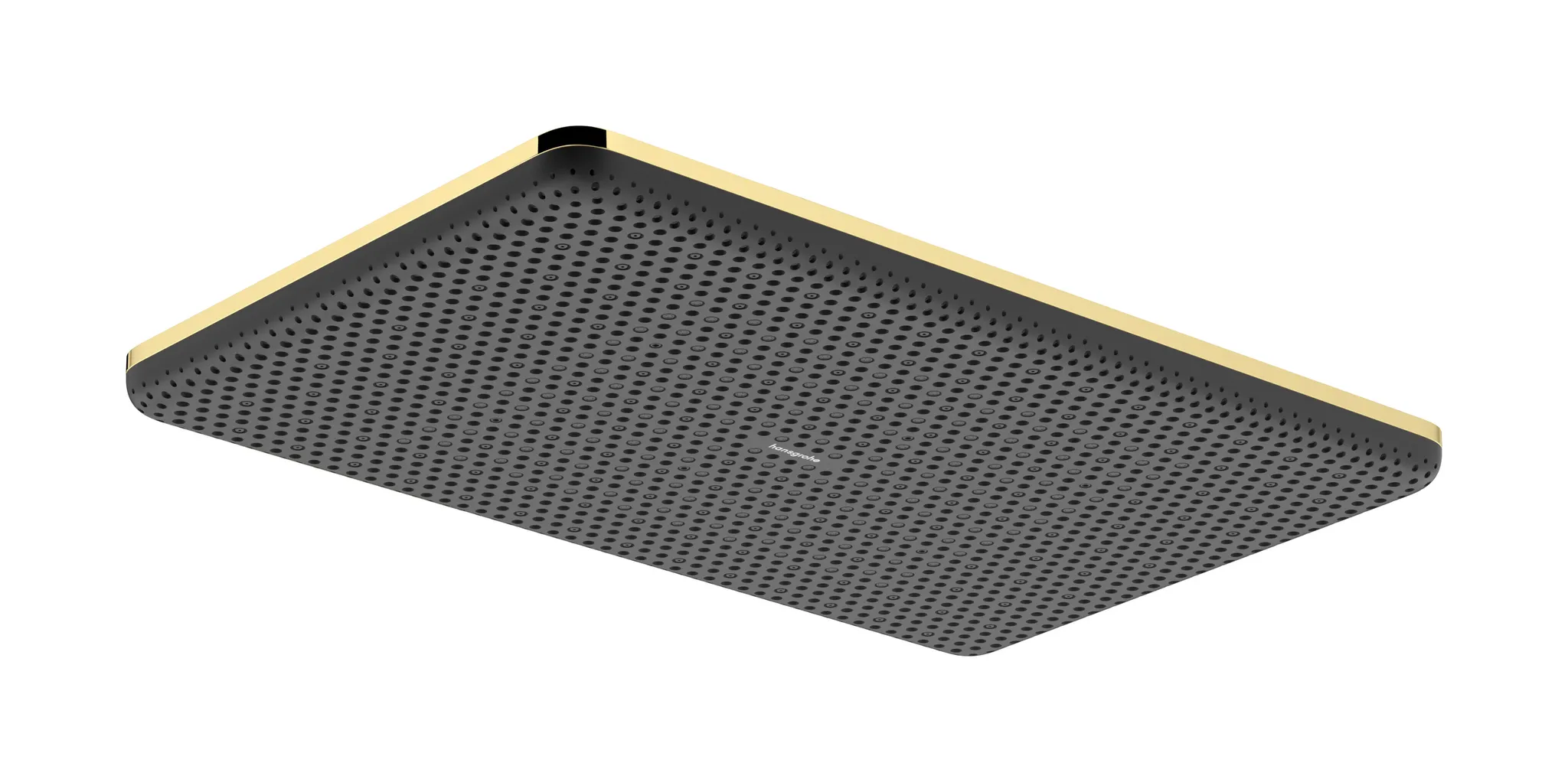 Duschkopf „Raindance Alive Q“ in Polished Gold Optic