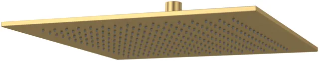 Duschkopf TVC00000600061, quadratisch 35 cm in Brushed Gold