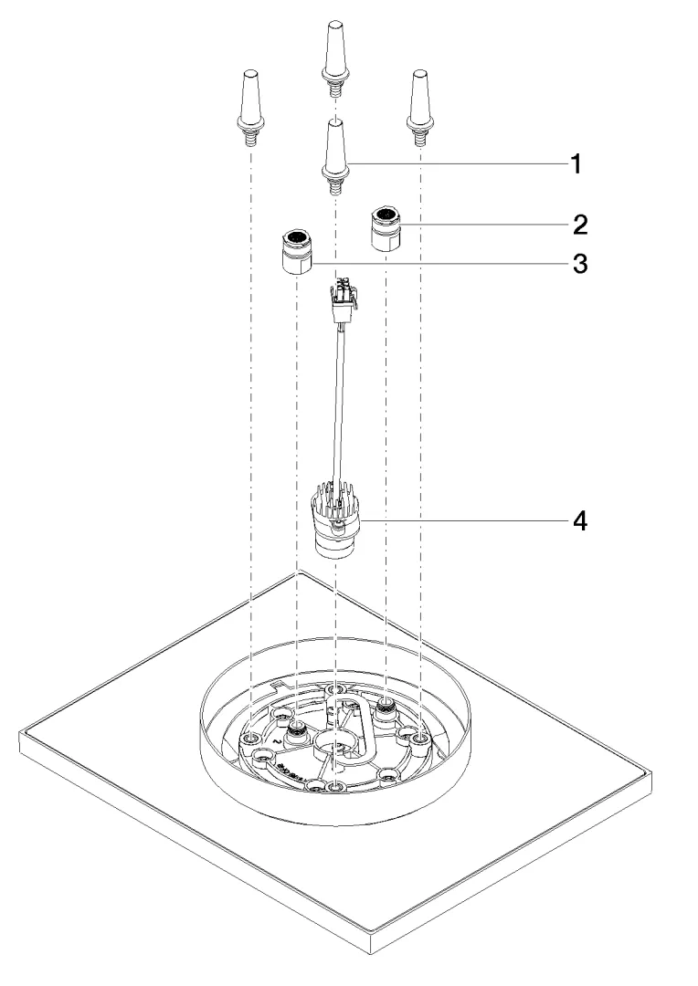Dornbracht Regenbrause für Deckenanbindung mit Licht 300 x 240 mm Light Gold gebürstet