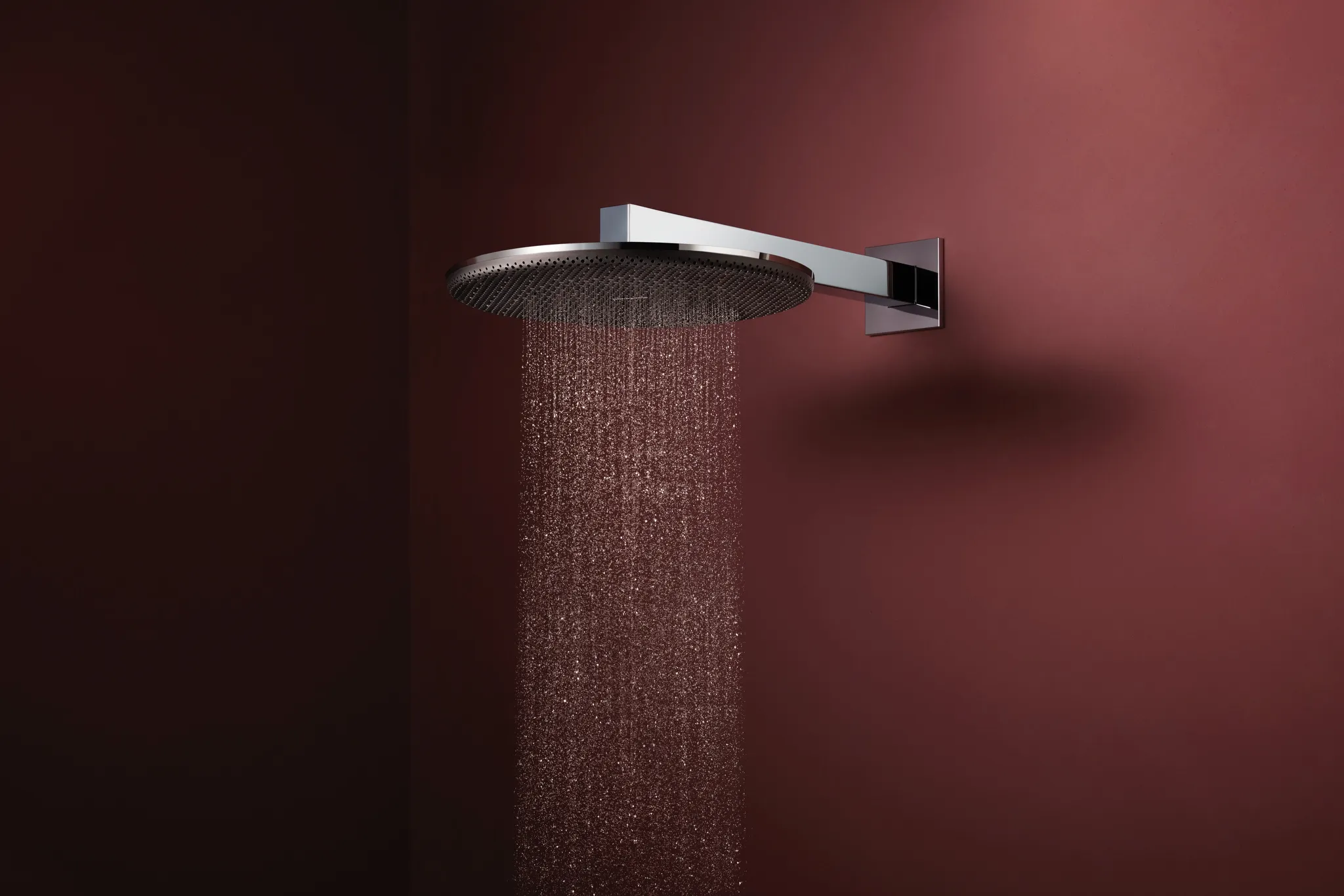 Duschkopf „Raindance Alive S“ in Chrom