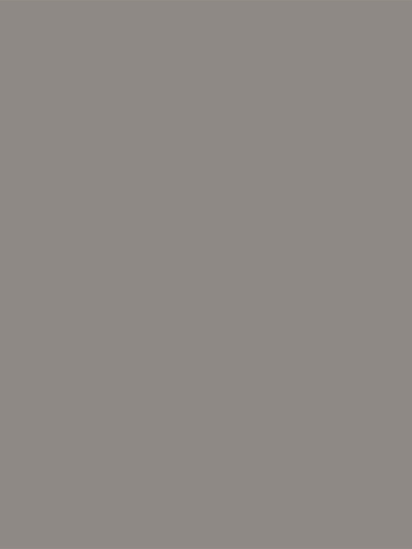 Inox (Glas, satiniert)