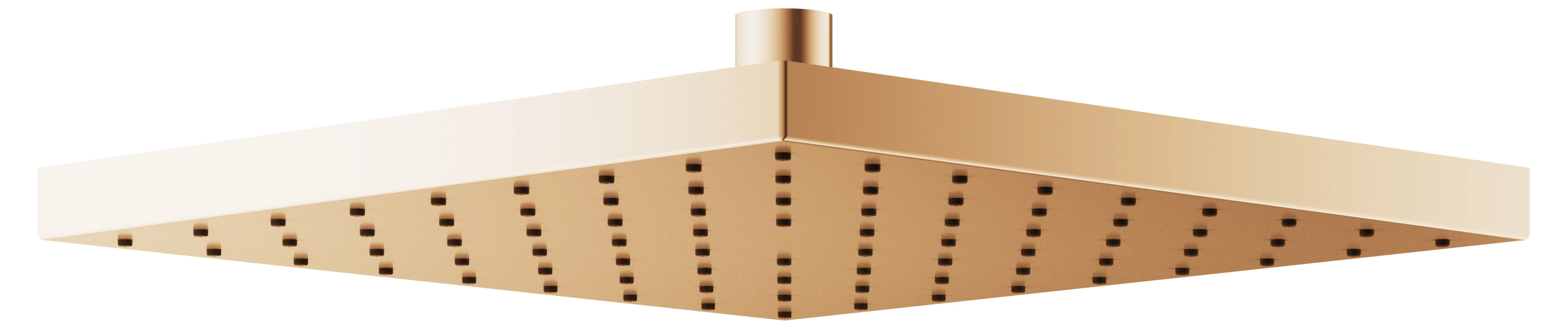 Edition 300 53086030100 Kopfbrause eckig 250 x 250 mm Bronze gebürstet