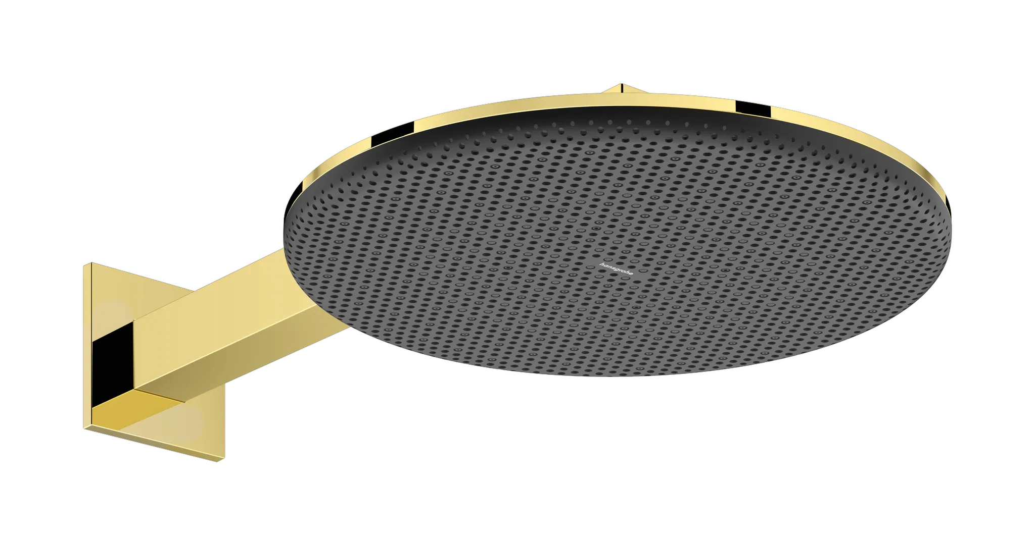 Duschkopf „Raindance Alive S“ in Polished Gold Optic Duschkopf „Raindance Alive S“ in Polished Gold Optic