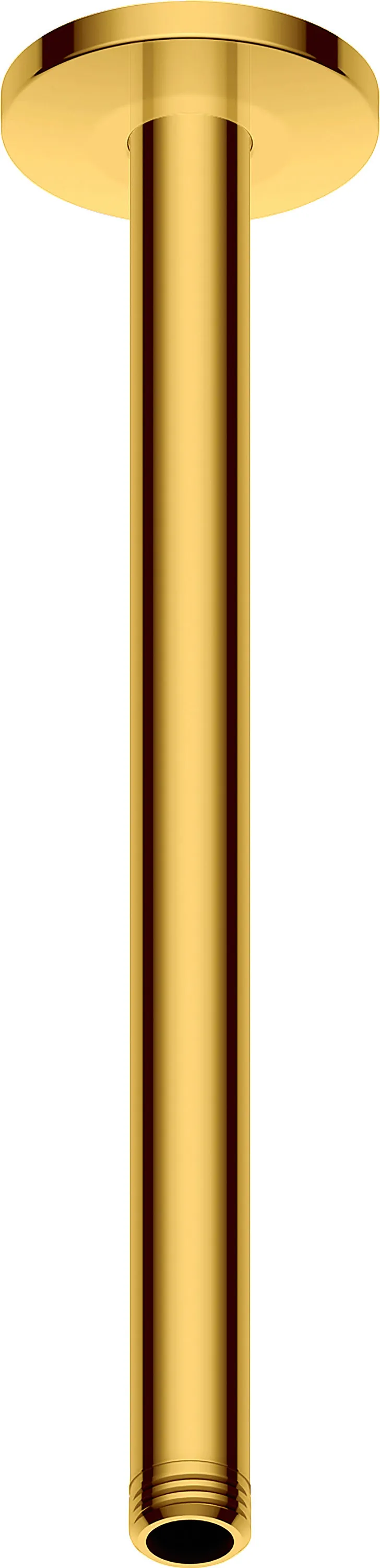Duravit Brausearm L 300mm Deckemontage Rosette Rund Gold Poliert