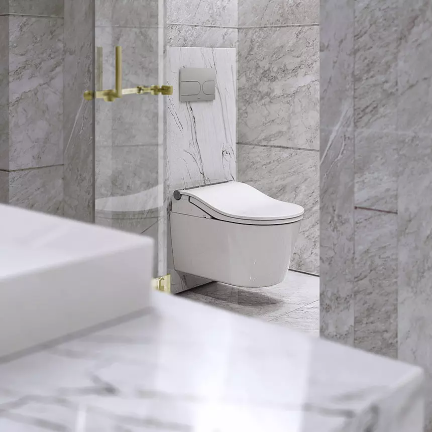 Dusch-WC WASHLET® Auto Flush „RW“ 391 × 108 mm