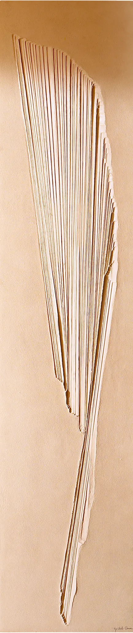 BEMM Design-Heizkörper „Cinier“ 50 × 220 cm
