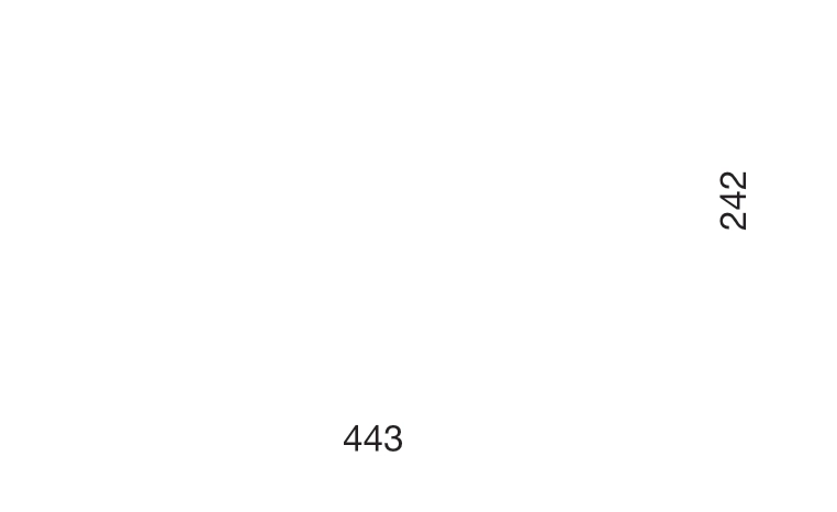 HEWI Kleider- & Hosenbügel 44,3 cm