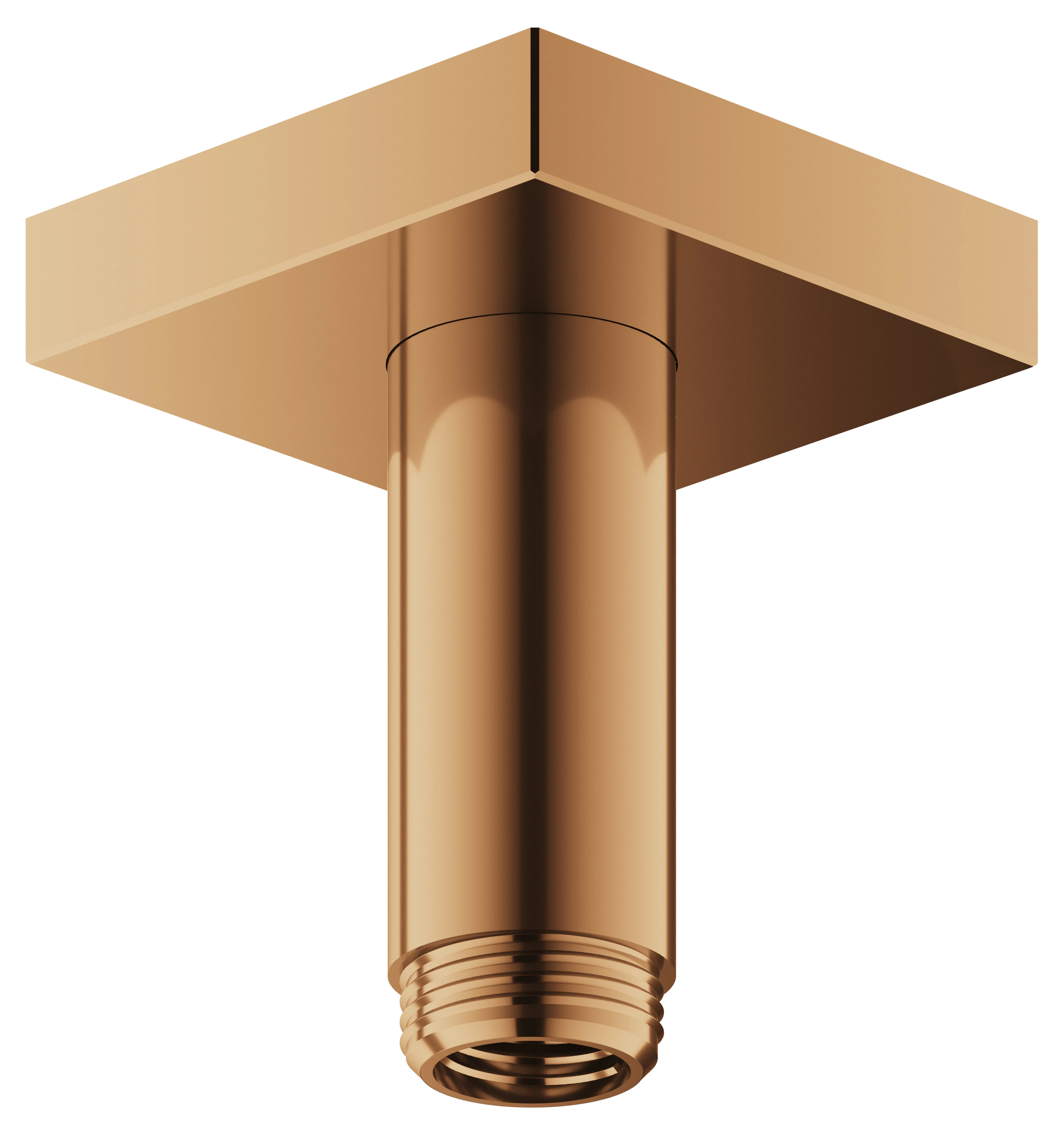 Edition 300 53089030102 Brausearm Deckenanschluß eckig 100 mm Bronze gebürstet Edition 300 53089030102 Brausearm Deckenanschluß eckig 100 mm Bronze gebürstet
